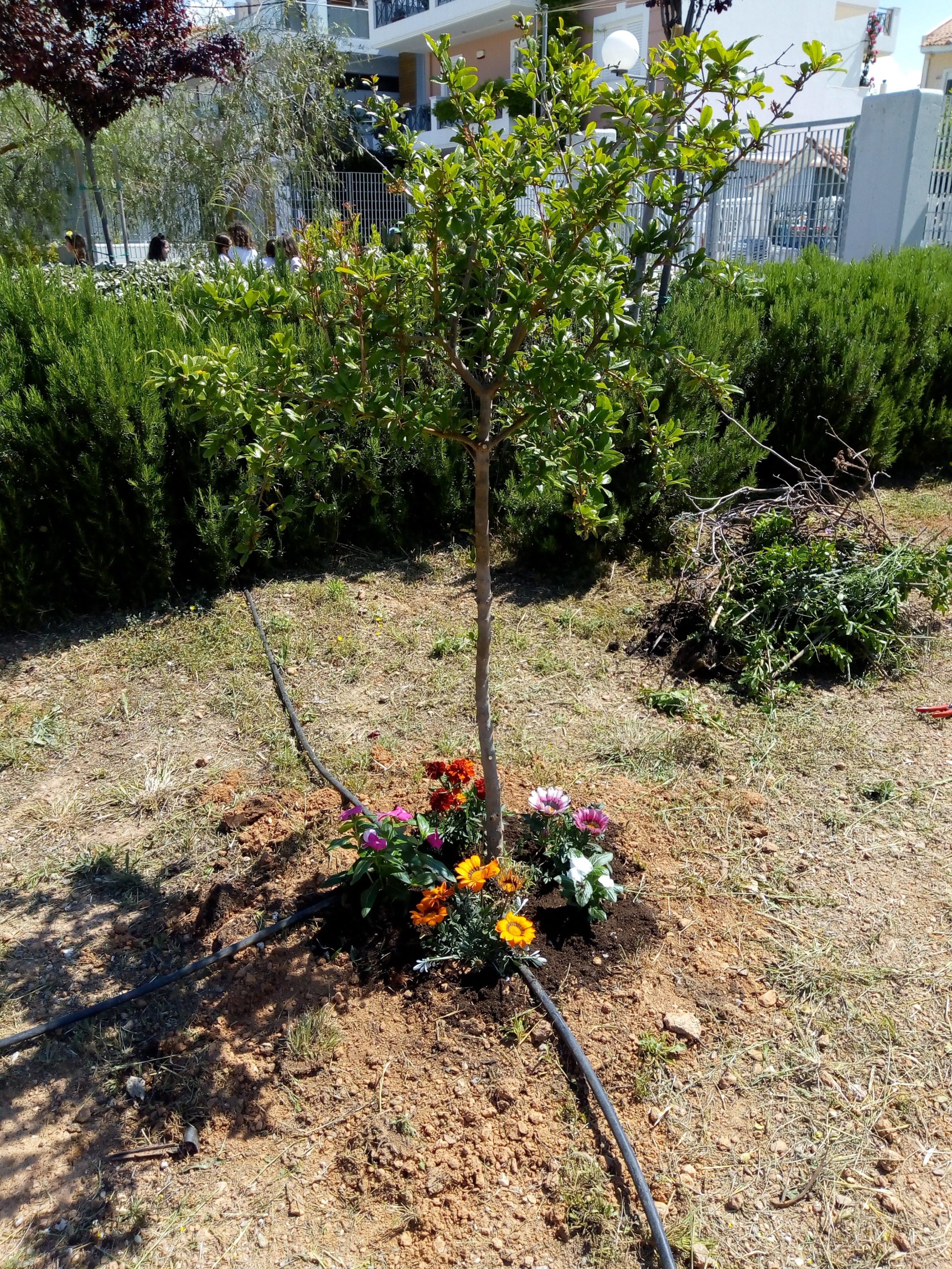 Περιβαλλοντικό Πρόγραμμα